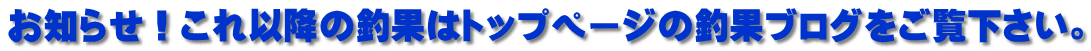 m点Iȍ~̒މʂ̓gbvy[W̒މʃuOB
